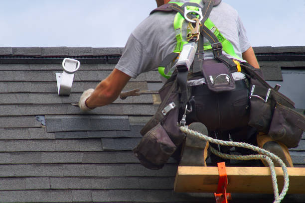 Best Roof Maintenance Services  in Russellville, AL