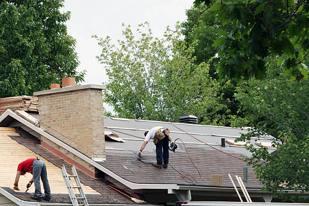 Best Roof Repair Services  in Russellville, AL
