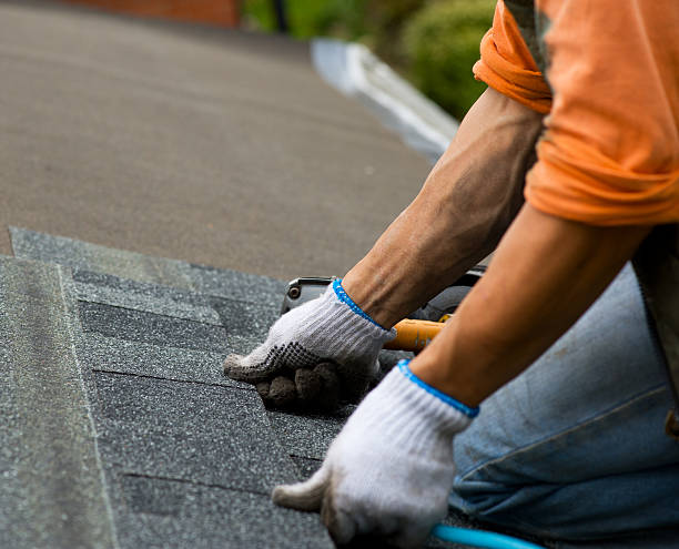 Best Roof Gutter Cleaning  in Russellville, AL