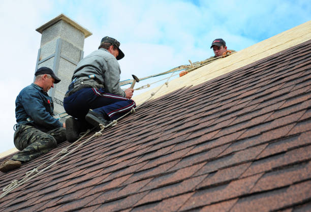 Best Residential Roofing Contractor  in Russellville, AL